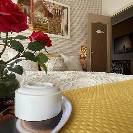 Grande Maison Historique Confortable Climatisee
